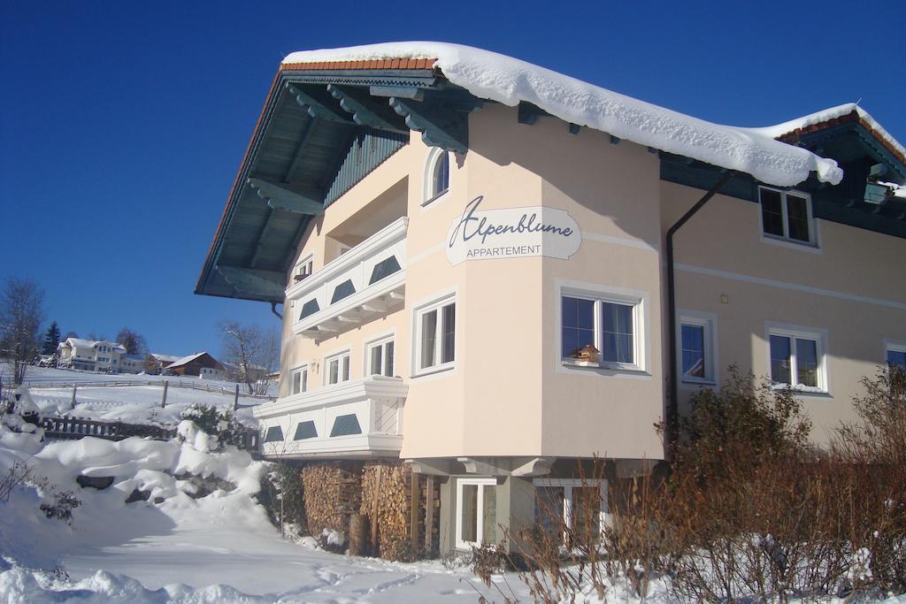 Alpenblume Apartment Schladming