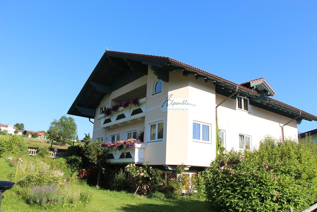 Apartment Alpenblume